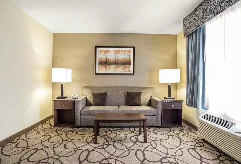 Отель Comfort Suites Airport