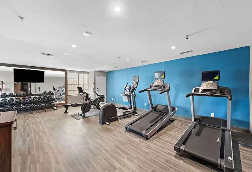 ホテル Hampton Inn By Hilton Calexico