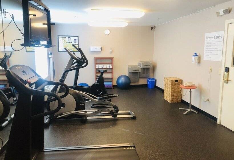 בית מלון כפרי Hampton Inn By Hilton Calexico