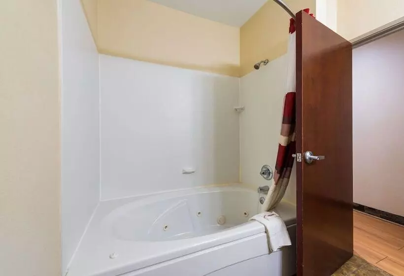 فندق Red Roof Inn & Suites Monee