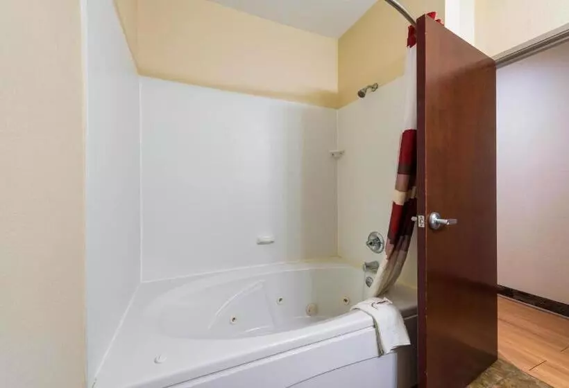 فندق Red Roof Inn & Suites Monee