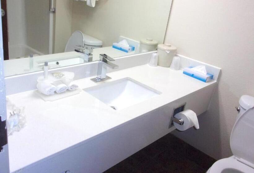 酒店 Red Roof Inn & Suites Monee