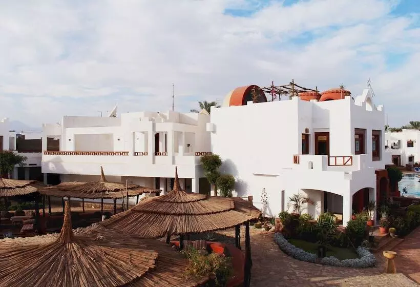 هتل Sharm Inn Amarein Boutique