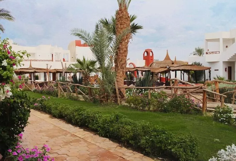 هتل Sharm Inn Amarein Boutique