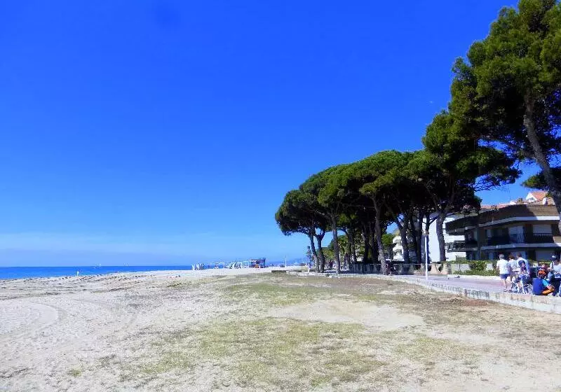 Rentalmar Pins Marina