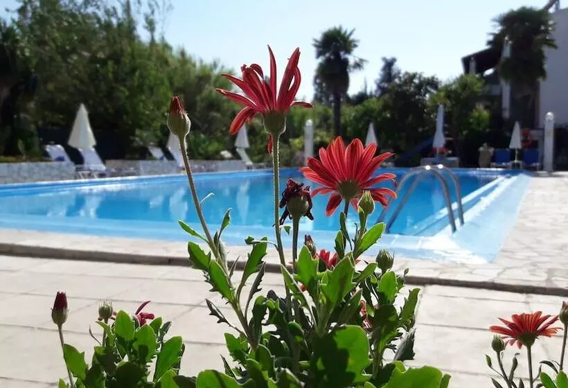 Angela Hotel and Apartments