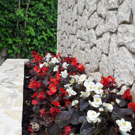 Angela Hotel and Apartments