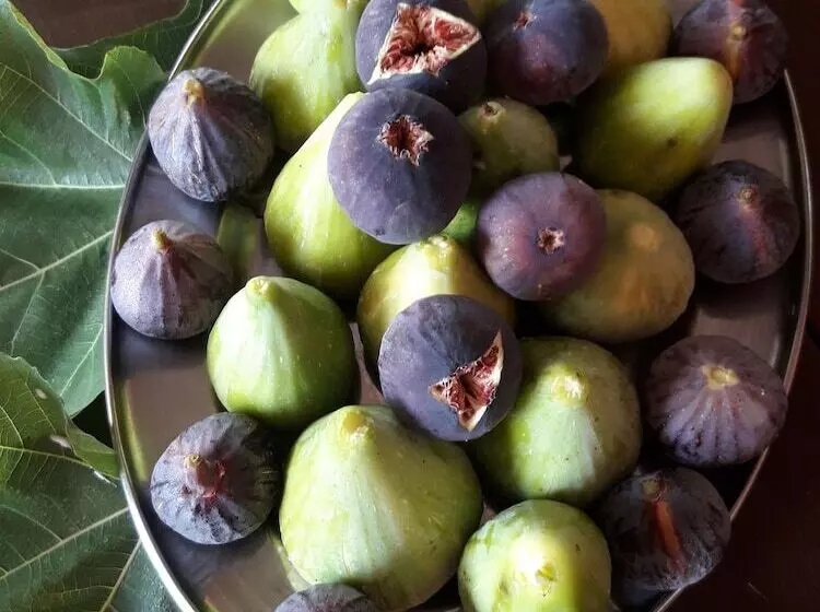 Angela Hotel and Apartments