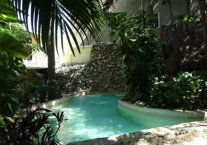 Hotelli B&b   5th Avenue