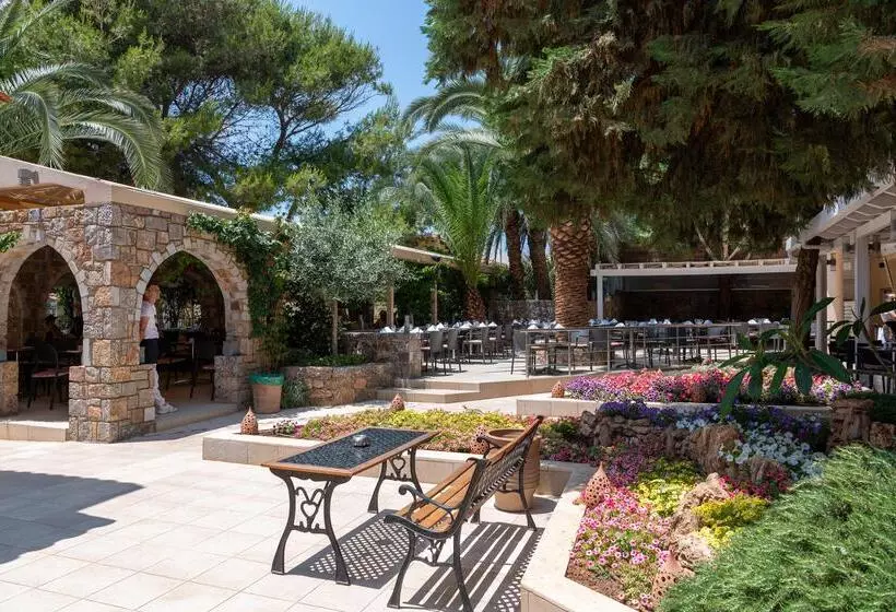 فندق High Beach Resort