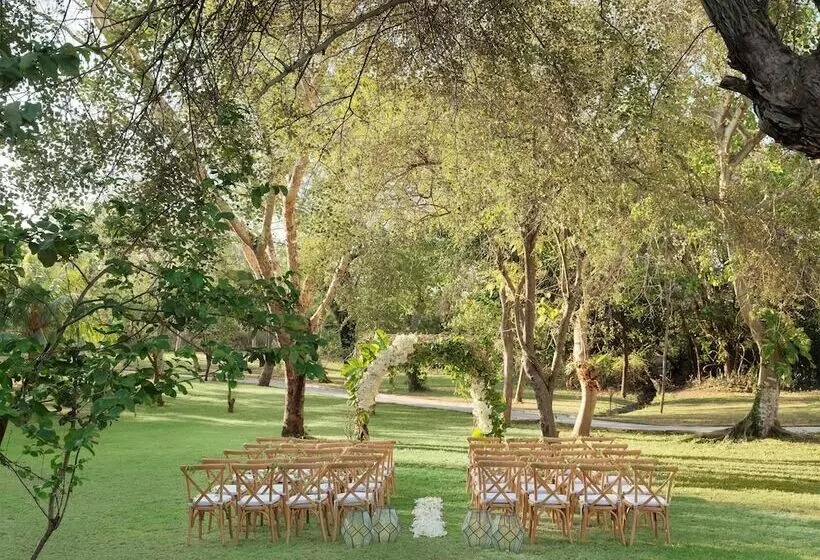 호텔 Mimpi Resort Menjangan