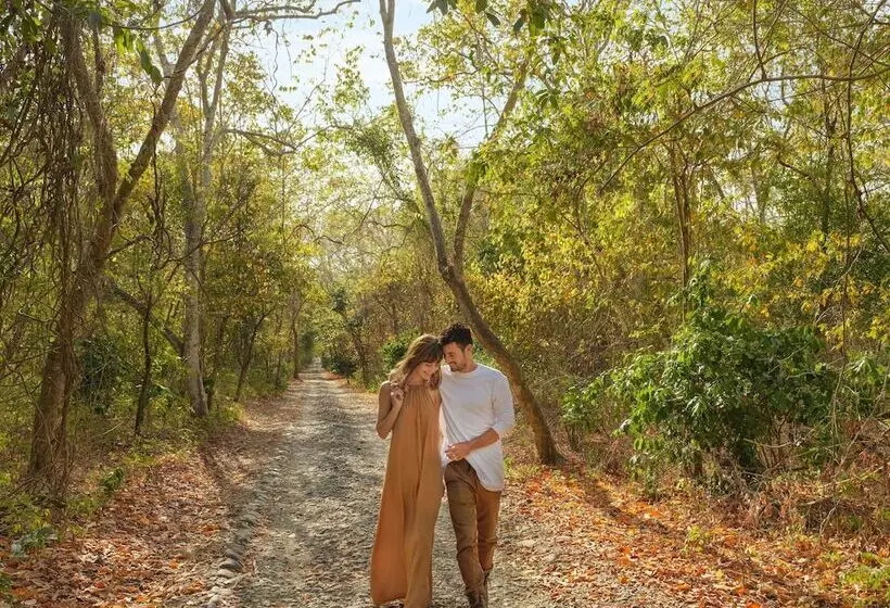 호텔 Mimpi Resort Menjangan