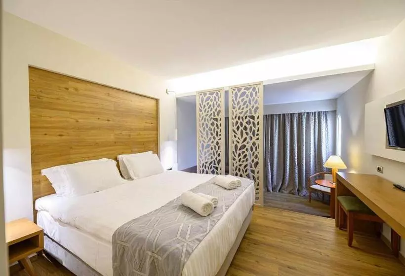 호텔 Olympion Asty