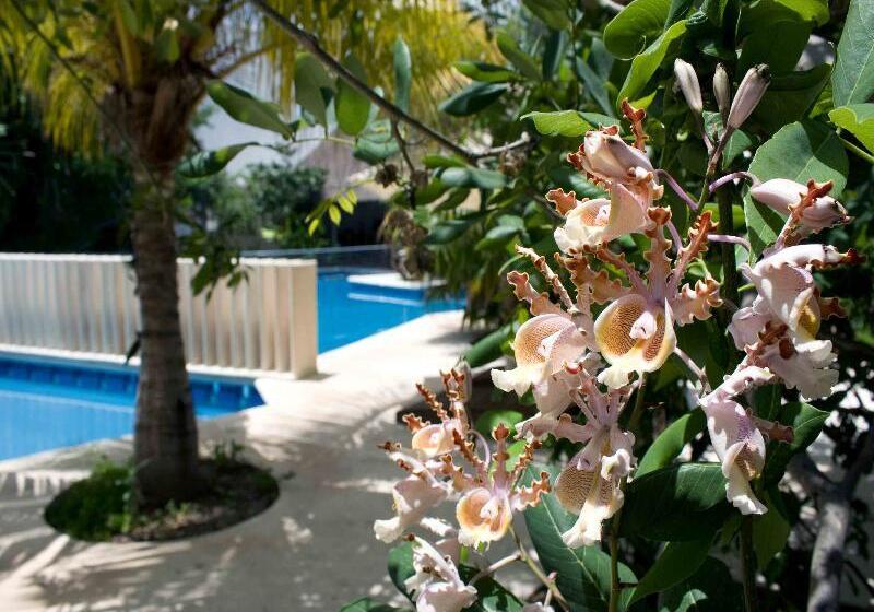 Sotavento Hotel & Yacht Club