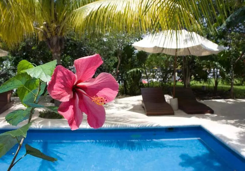 Sotavento Hotel & Yacht Club