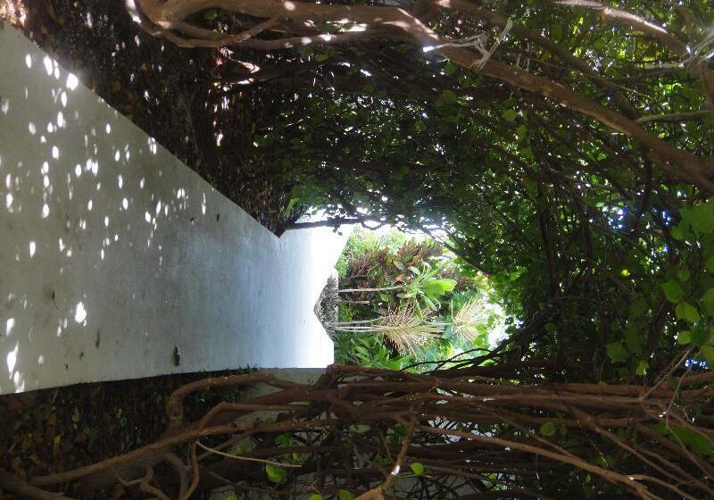 Sotavento Hotel & Yacht Club