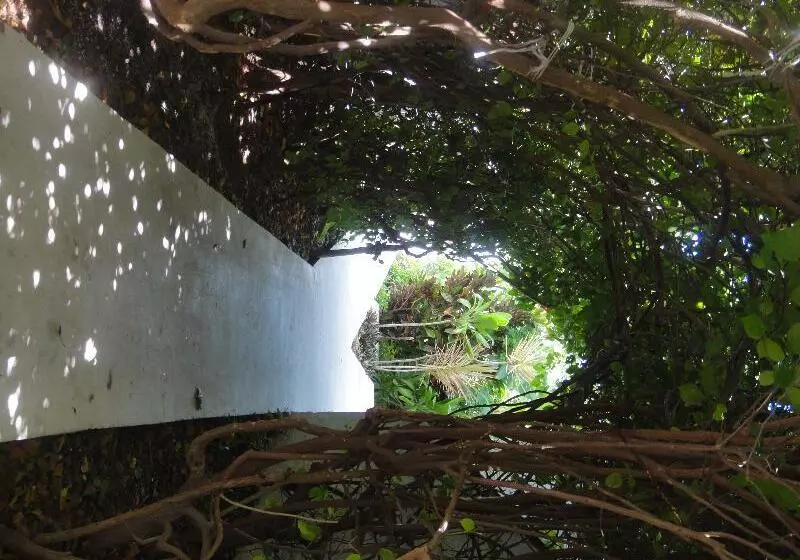 Sotavento Hotel & Yacht Club