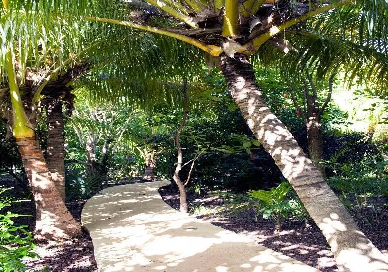 Sotavento Hotel & Yacht Club