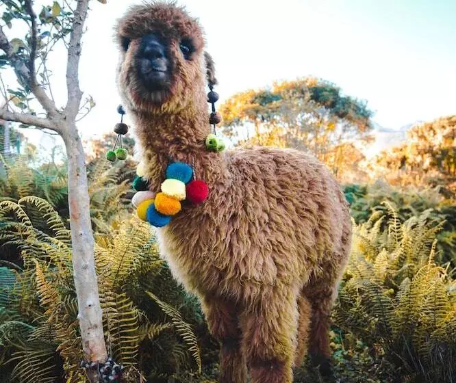 هتل Tambo Del Inka, A Luxury Collection Resort & Spa, Valle Sagrado