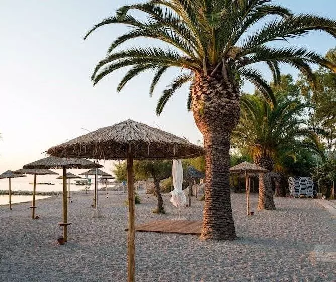 호텔 Three Stars Beach