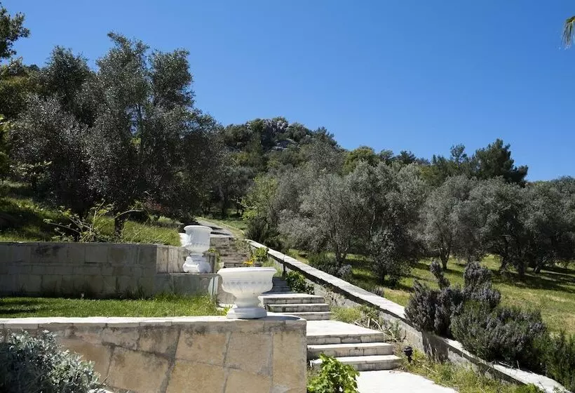 X Life Hotel Sarıgerme 15   Adult