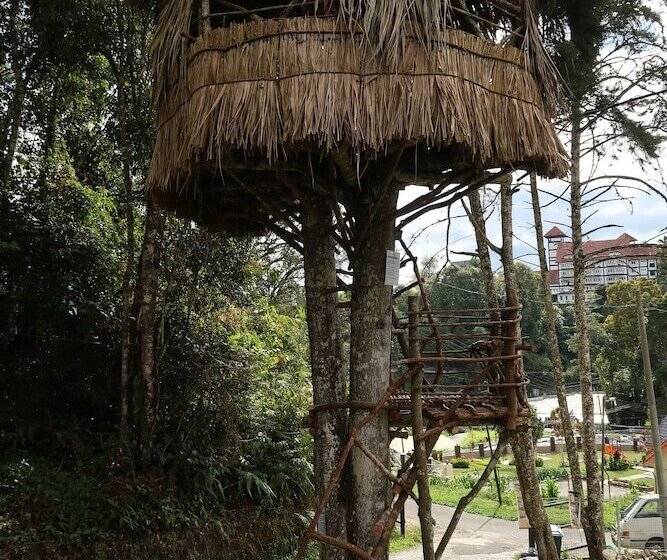 Farm Guest House   Hostel