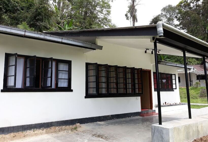 Farm Guest House   Hostel