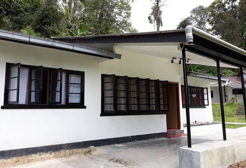 Farm Guest House   Hostel