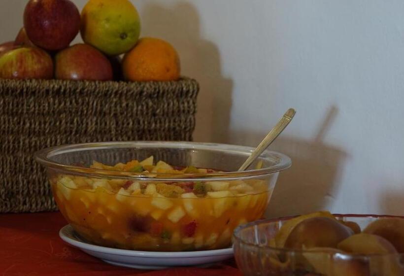 Отель Hipocampus Resort & Spa