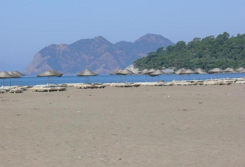 酒店 Minta Apartments