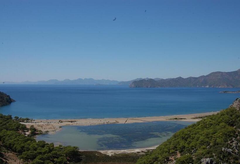 酒店 Minta Apartments