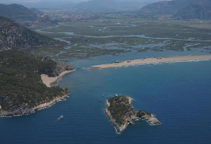 酒店 Minta Apartments