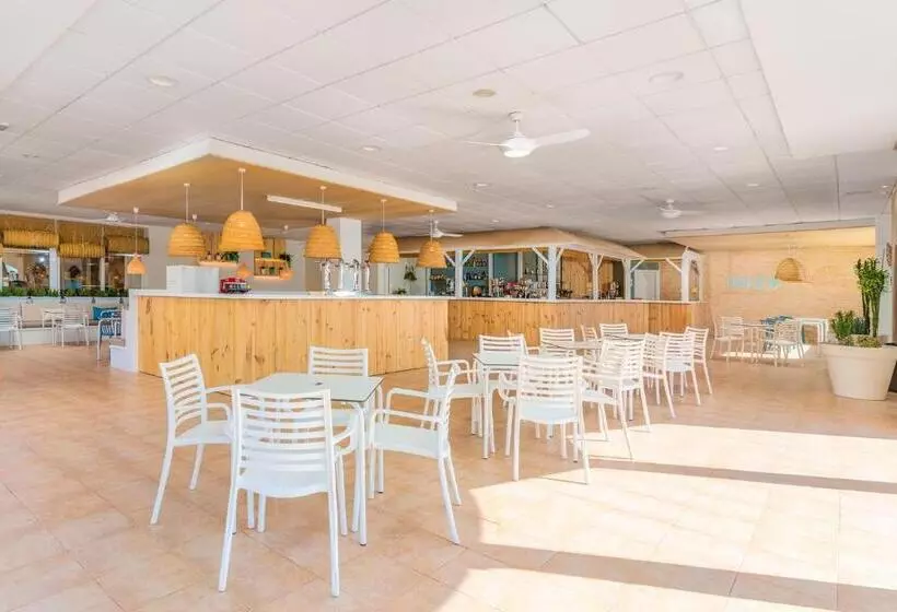 فندق Peñiscola Plaza Suites