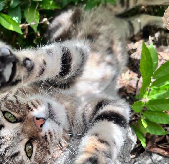 هتل Quinta De Gestacos