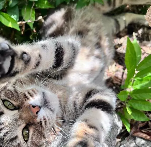 هتل Quinta De Gestacos