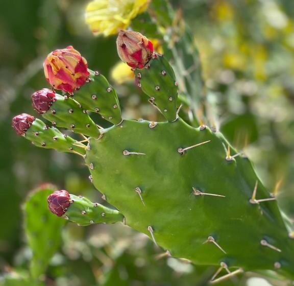 هتل Quinta De Gestacos