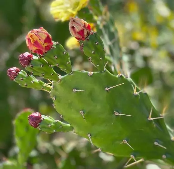 هتل Quinta De Gestacos