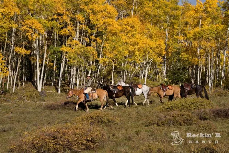 酒店 Rockin R Ranch