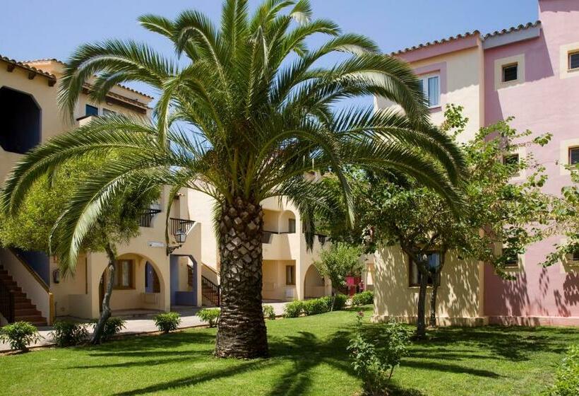 Globales Bouganvilla