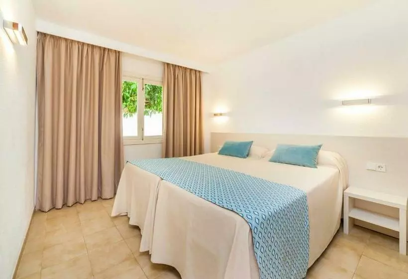 Globales Bouganvilla