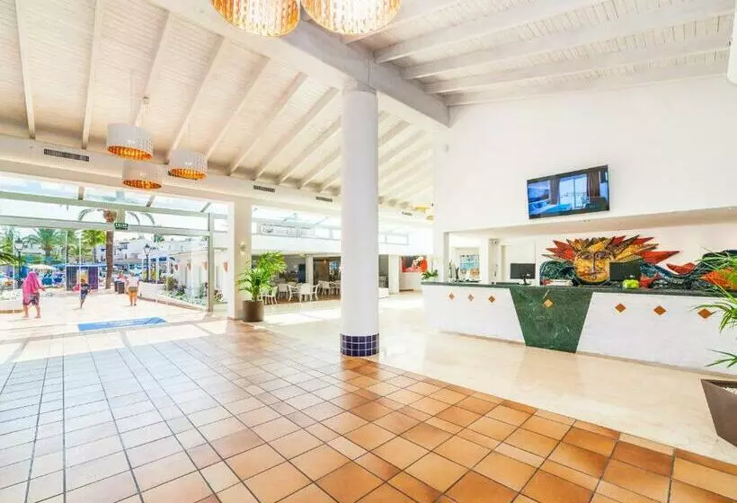 Globales Bouganvilla