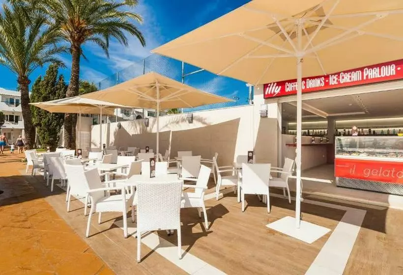 Globales Bouganvilla