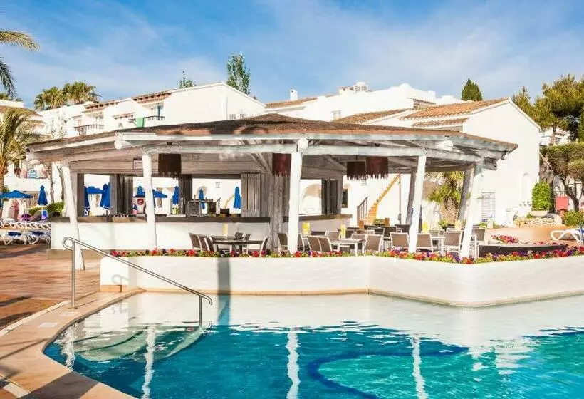 Globales Bouganvilla