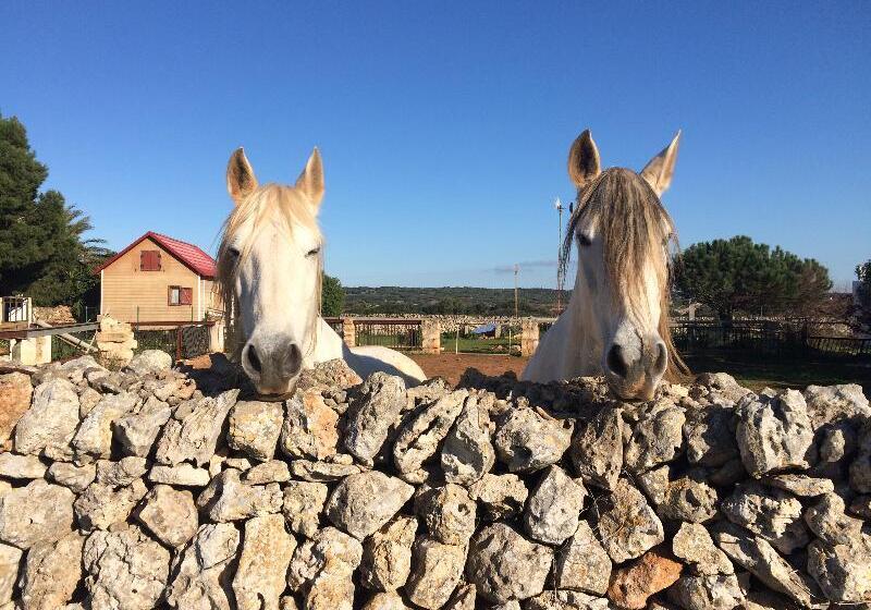 Apartamentos Las Brisas I & Ii