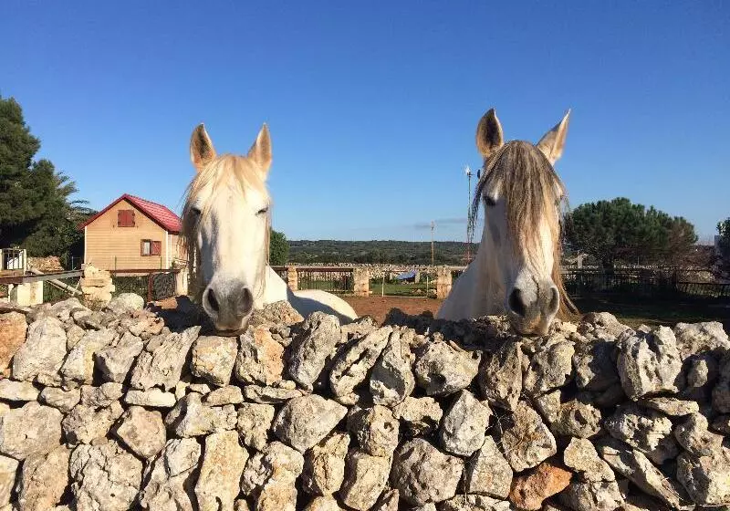 Apartamentos Las Brisas I & Ii