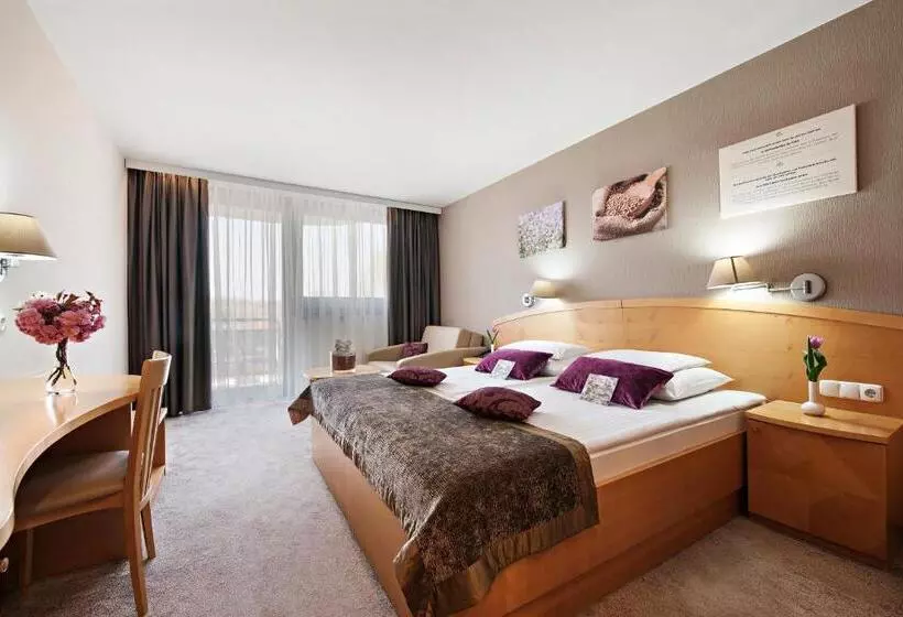 Ajda   Terme 3000   Sava Hotels & Resorts