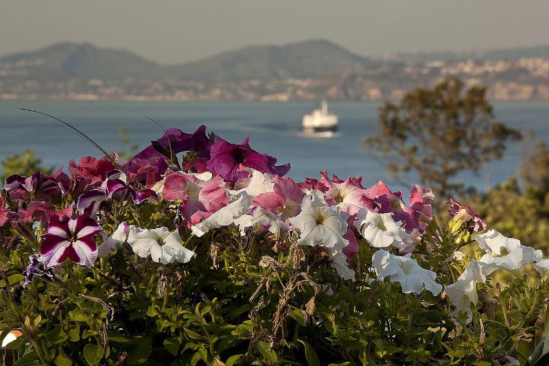 هتل Continental Mare