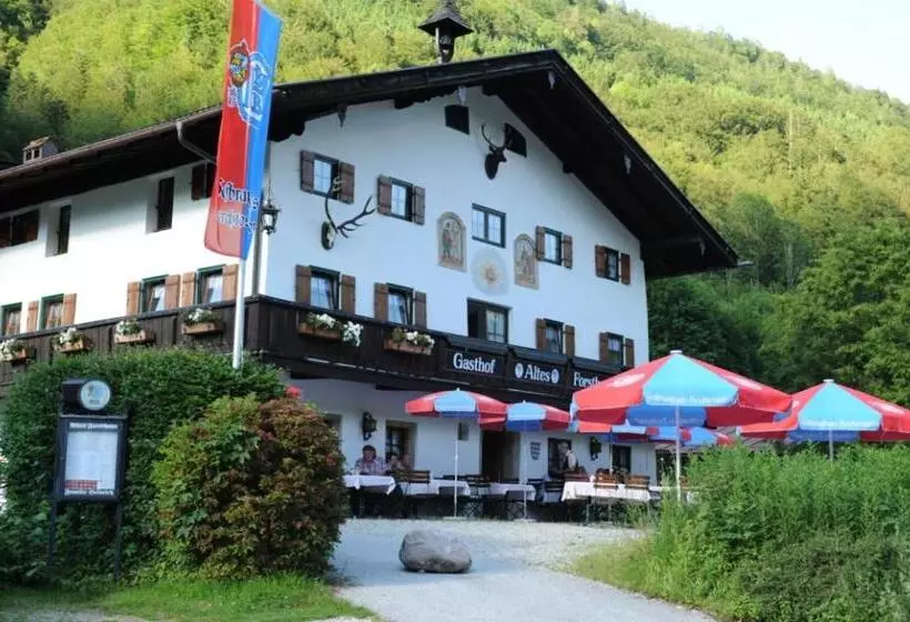 ホテル Gasthof Altes Forsthaus