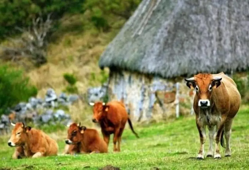 Gran Hotel Rural Cela