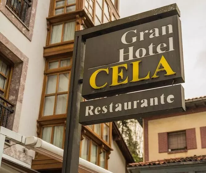 Gran Hotel Rural Cela